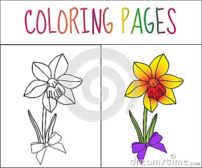 Coloring book page, flower, iris. Sketch and color version. Coloring for kids. Vector illustration Vector Illustration