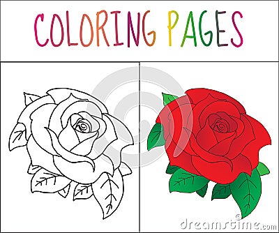 Coloring book page, Rose. Sketch and color version. Coloring for kids. Vector illustration Vector Illustration