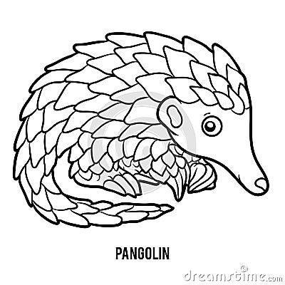 Coloring book, Pangolin Vector Illustration