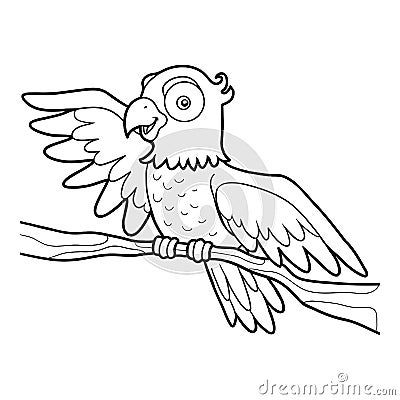 Coloring book, Parrot Vector Illustration