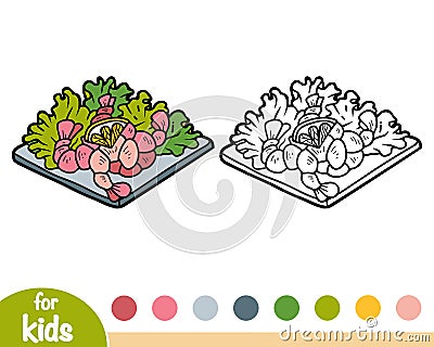 Coloring book, Shrimp salad Vector Illustration