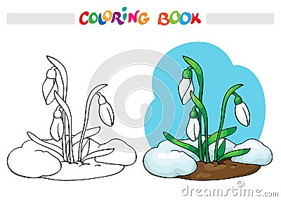 Coloring book. Snow melts, grow the first spring flowers - snowdrops. Vector Illustration