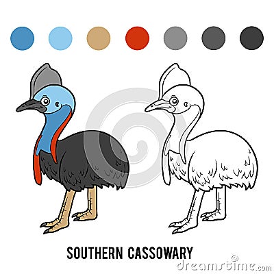 Coloring book, Southern cassowary Vector Illustration