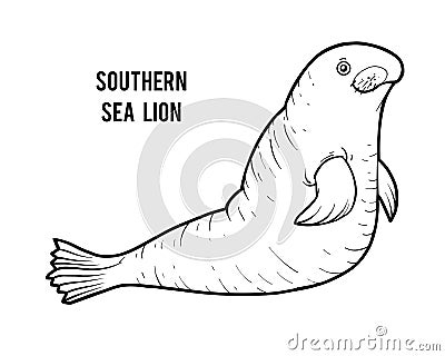 Coloring book, Southern Sea Lion Vector Illustration