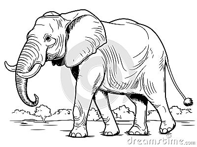 Coloring book full length elephant, natural environment. Generative ai, black lines, white Stock Photo