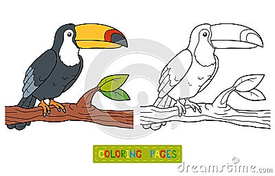 Coloring book (toucan) Vector Illustration