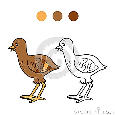 Coloring book (turkey chick) Vector Illustration