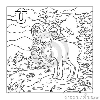 Coloring book (urial), illustration (letter U) Vector Illustration