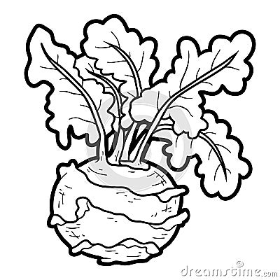 Coloring book, vegetables, Kohlrabi Vector Illustration