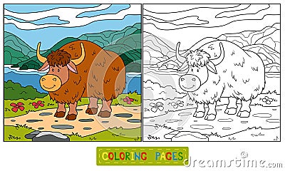 Coloring book (yak) Vector Illustration