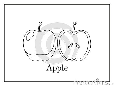 Coloring card with signed whole apple and apple cut in half on white background in thin frame Vector Illustration