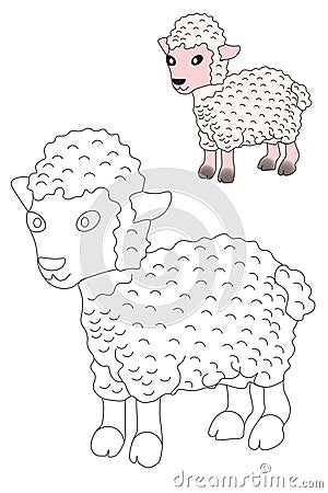 Coloring for children Sheep. Coloring and color pattern Vector Illustration