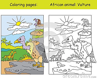 Coloring and color for children education vulture Vector Illustration