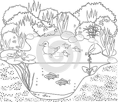 Coloring duck pond Stock Photo