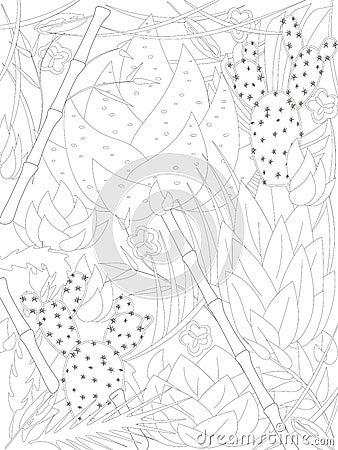 Coloring page for adult weaving plants cacti and succulents, bamboo and other plants Stock Photo