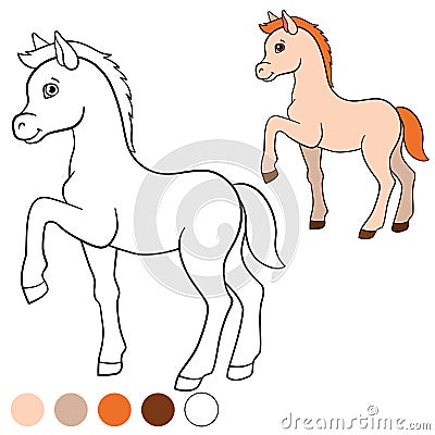 Coloring page. Color me: horse. Little cute foal. Vector Illustration