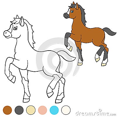 Coloring page. Color me: horse. Little cute foal. Vector Illustration