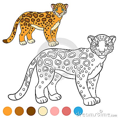 Coloring page with colors. Cute spotted jaguar smiles. Vector Illustration