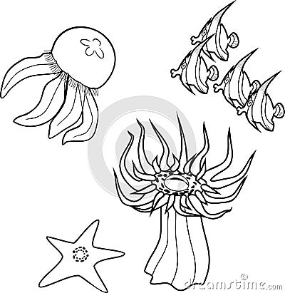 Coloring page. Different marine animals Stock Photo