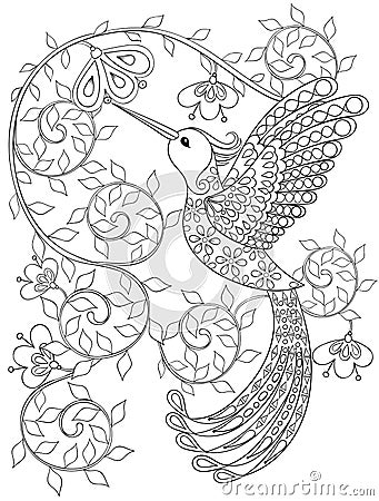 Coloring page with Hummingbird, zentangle flying bird for adult Vector Illustration