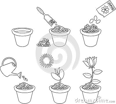 Coloring page. Instructions on how to plant flower in six easy steps. Step by step Stock Photo