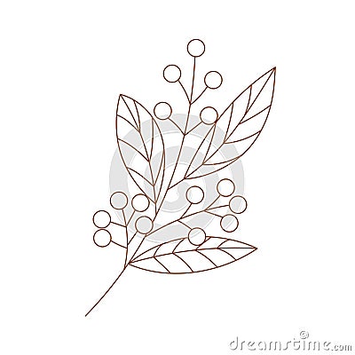 Coloring page outline of cute branch. Outlined branch with berry. Vector Illustration