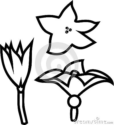 Coloring page with pumpkin flowers Stock Photo