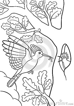 Coloring pages. Mother hoopoe feeds her little cute baby Vector Illustration