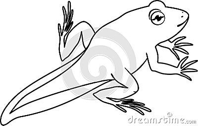 Coloring page. Young frog with tail Stock Photo