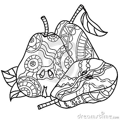 Coloring pages for adults.Decorative hand drawn doodle engraving pear vector sketchy pattern Vector Illustration