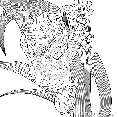 Coloring pages for adults decorative line art vector frog illustration design Black contour isolated on white background Cartoon Illustration