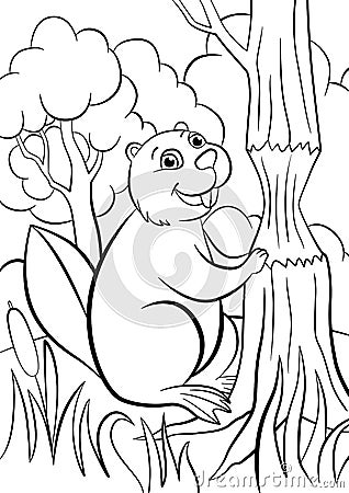 Coloring pages. Animals. Little cute beaver. Vector Illustration