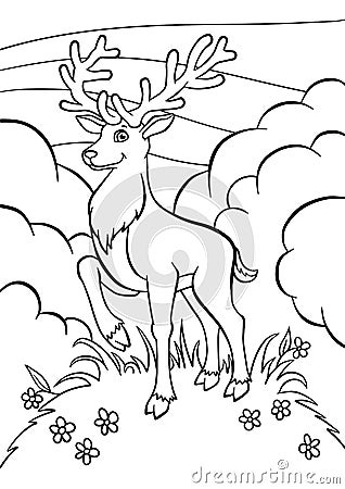 Coloring pages. Animals. Little cute deer. Vector Illustration