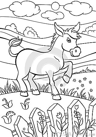 Coloring pages. Animals. Little cute donkey. Vector Illustration