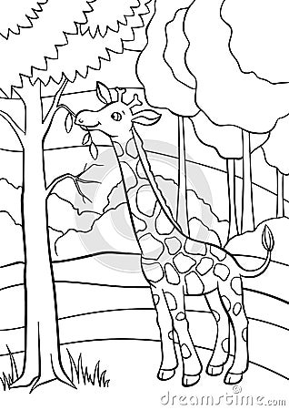 Coloring pages. Animals. Little cute giraffe. Vector Illustration