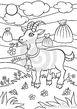 Coloring pages. Animals. Little cute goat. Vector Illustration