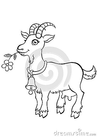 Coloring pages. Animals. Little cute goat. Vector Illustration