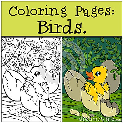 Coloring Pages: Birds. Little cute duckling in the egg. Vector Illustration