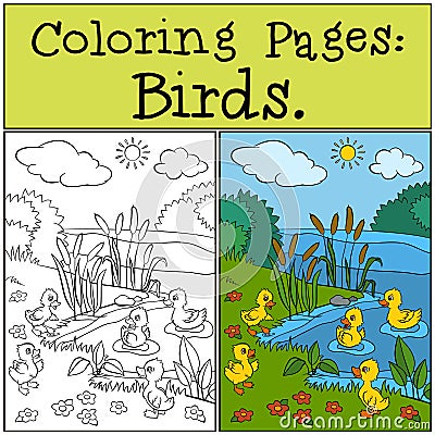 Coloring Pages: Birds. Little cute ducklings. Vector Illustration