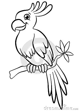 Coloring pages. Birds. Little cute parrot. Vector Illustration