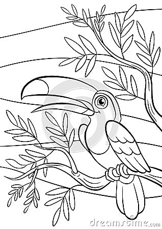 Coloring pages. Birds. Little cute toucan. Vector Illustration