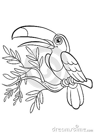 Coloring pages. Birds. Little cute toucan. Vector Illustration