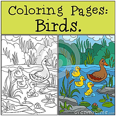 Coloring Pages: Birds. Mother duck with her little cute ducklings. Vector Illustration