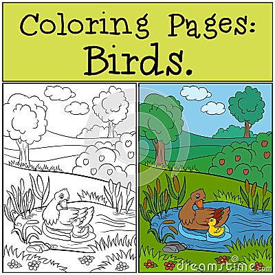 Coloring Pages: Birds. Mother duck swims with her little cute duckling. Vector Illustration