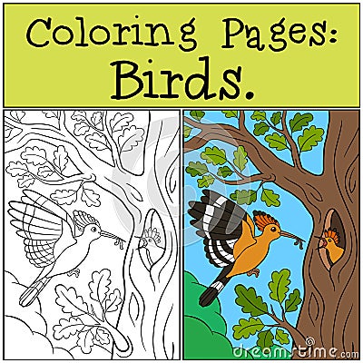 Coloring Pages: Birds. Mother hoopoe feeds her baby Vector Illustration