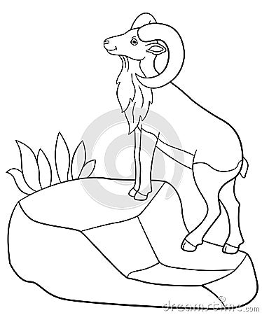 Coloring pages. Cute beautiful urial stands on the rock Vector Illustration
