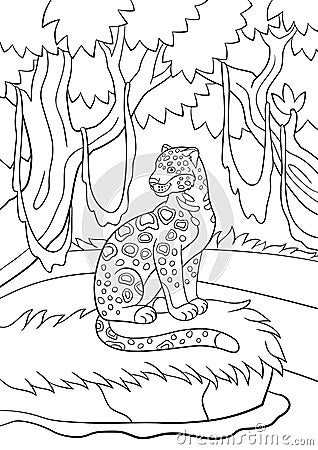 Coloring pages. Cute spotted jaguar in the forest. Vector Illustration