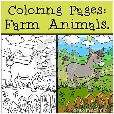 Coloring Pages: Farm Animals. Little cute donkey. Vector Illustration