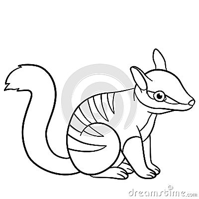 Coloring pages. Little cute baby numbat smiles Vector Illustration
