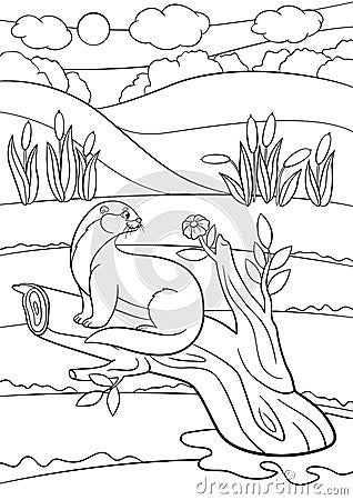 Coloring pages. Little cute otter sits on the tree branch Vector Illustration